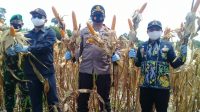 SAVE_20200919_202202 Polres Bartim Bersama Dinas Pertanian Panin Jagung