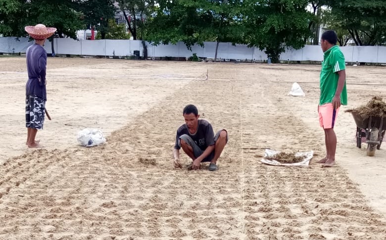 Rumput Lapangan Sepakbola Kayutangi Sudah Mulai Ditanam