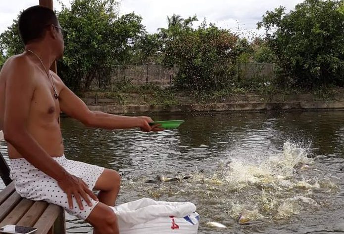 Usaha Tambak Ikan Mulai Membaik 
