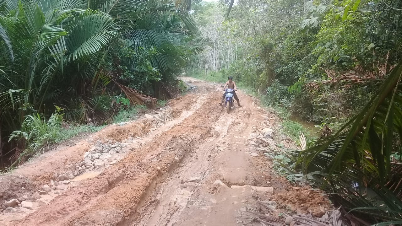 Warga Keluhkan Kondisi Jalan Desa Pulang Padang - Betang Nalong