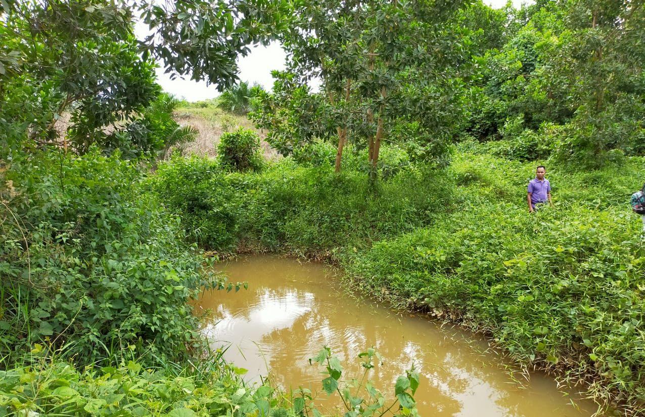 DLH Bartim Cek Aktivitas PT KSL di Lapangan