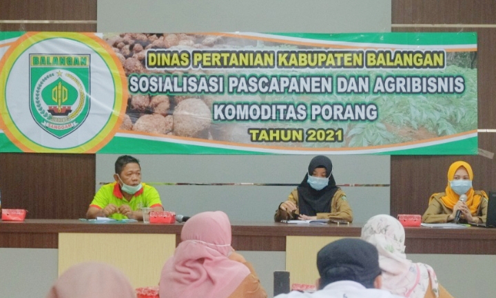 Umbi Porang Balangan Diekspor Hingga Ke Jepang