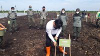 20210409_092943 Rehabilitasi Lingkungan, Pemprov Kalsel Tanam 1 Juta Pohon