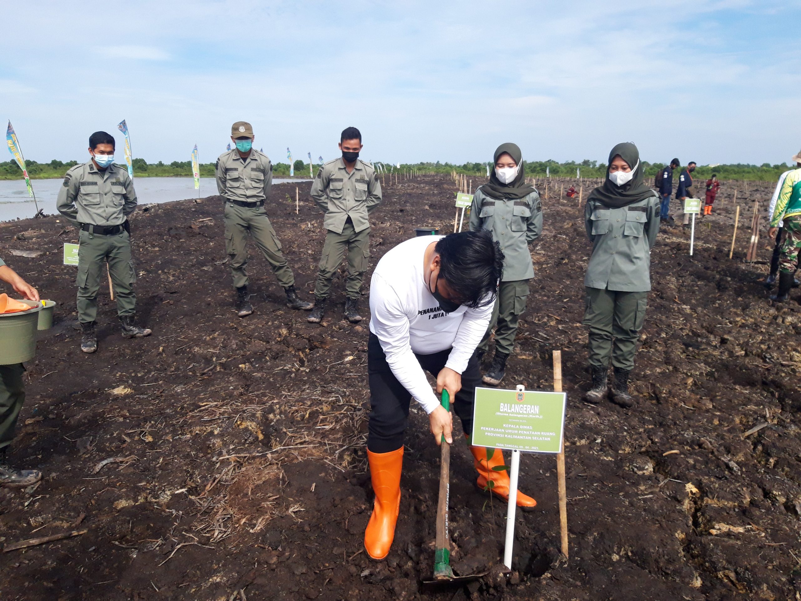Rehabilitasi Lingkungan, Pemprov Kalsel Tanam 1 Juta Pohon