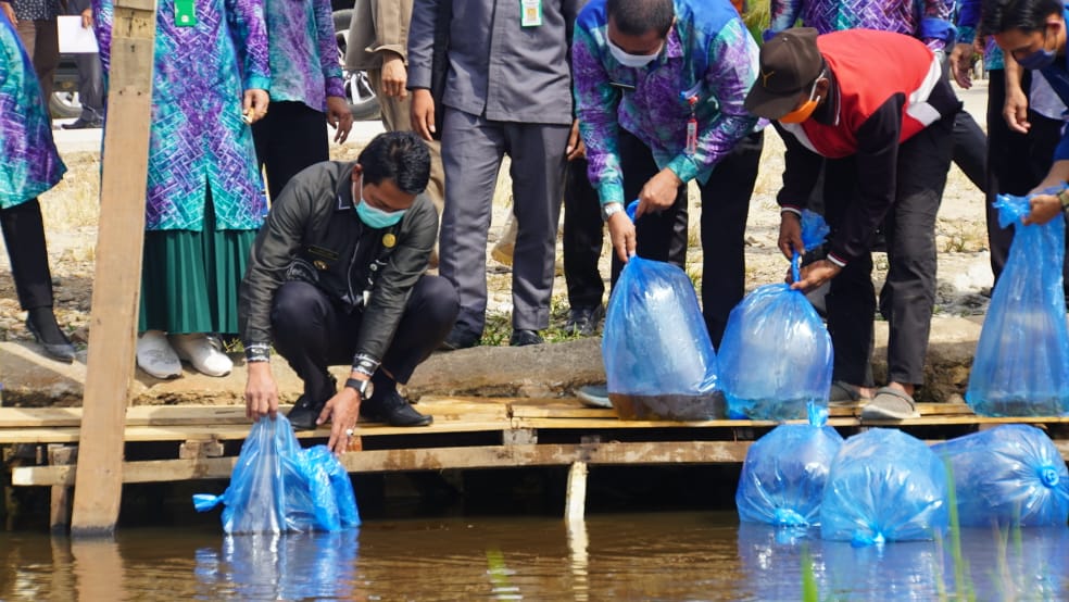 Re Stocking Ikan Sungai