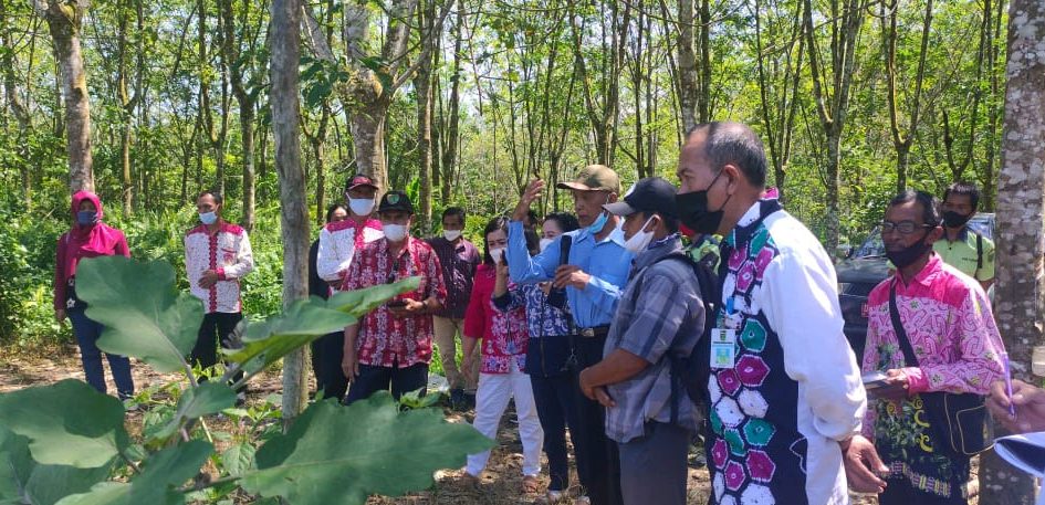 Distangkep Bartim Studi Banding ke Tabalong