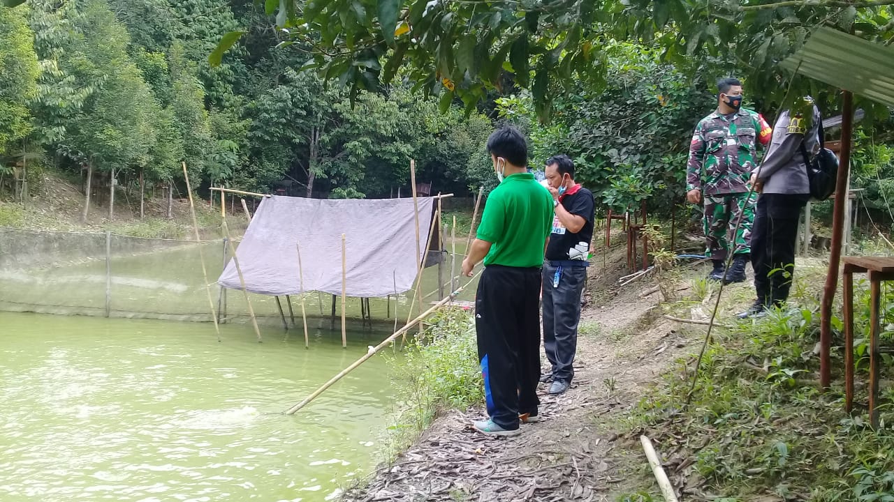 Budidaya Patin Diyakini dapat Menambah PADes Haringen