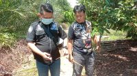 20b8d65d-38bd-40fd-95ff-28d7defccc78 Tim Gabungan Polres Bartim Berhasil Meringkus Gopeng di Kutim