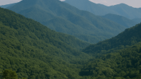 5b9399d1-0534-453d-9389-a75d8dc91cf5