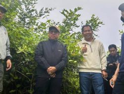 IMG_20250705_200604-250x190