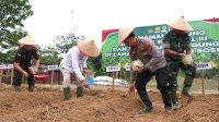 Bupati Balangan Mendukung Penuh Program Tanam Jagung Serentak Kuartal III